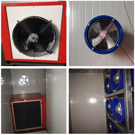 Hot Air Drying Okra Machine Vegetable Fruit Dehydrator